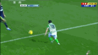 无愧世界第一武僧 13张gif让你认识佩佩