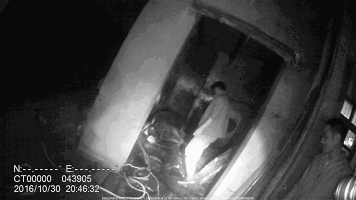 牛发狂欲伤人 绍兴嵊州民警上演