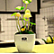 Passion Pilz Lampe