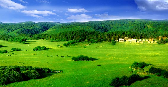 武隆仙女山風景名勝區