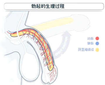 重庆大渝健康男性健康