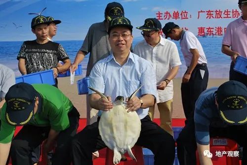 宝能的鱼,姚振华的网